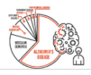 Vascular Dementia Diabetes of the Brain