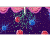 Understanding Micro-immunotherapy and Lymphocyte Typing: A Dive into Modern Immunology Tools 