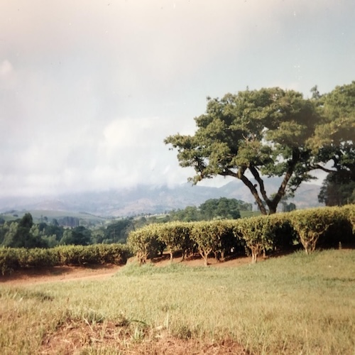 Malawi