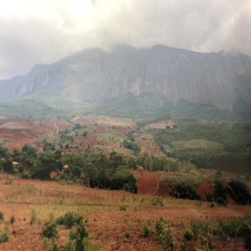 Malawi We Forest