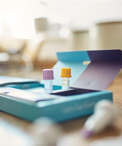 Empower Your Expertise with Colab